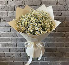 Букет цветов из:  Ромашки #REPLACE_PRED# Большое Полпино