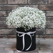 Цветочная композиция из Гипсофила в шляпной коробке в Большое Полпино