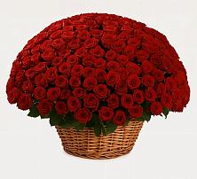 Премиум букет из: Розы в Большое Полпино