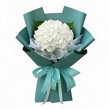 Букет цветов из:  Гортензия в Большое Полпино